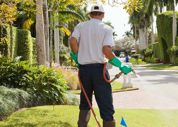 About Massillon OH Pest Control Pros